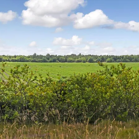 Semesterbostad C11329-tarm-sortbaervej-16