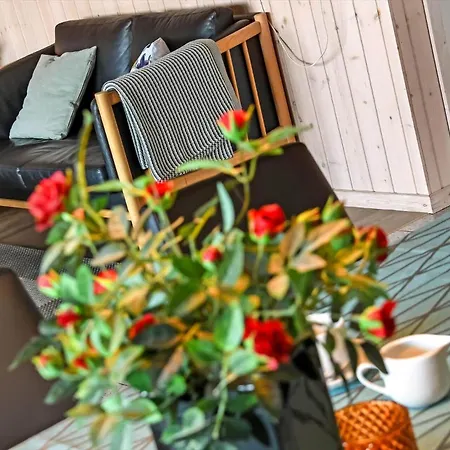 Semesterbostad C11329-tarm-sortbaervej-16 *